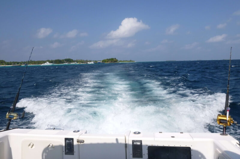 att göra på maldiverna - fiskeutflykt