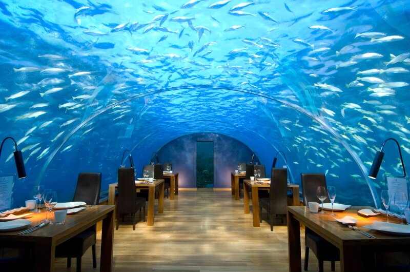 att göra på maldiverna - äta under vattnet